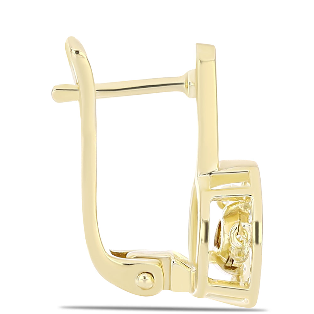 Pozlacené Stříbro 925/1000 - Náušnice s Cognac Diamantem - Karátové číslo: 0.01. přibližná hmotnost: 3.66 gramů