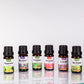 SADOER Fragrance Essential Oil Set 6pcs (Lavender, Mint, Sea Fennel, Geranium, Bluebell, Patchouli) 6*10ml