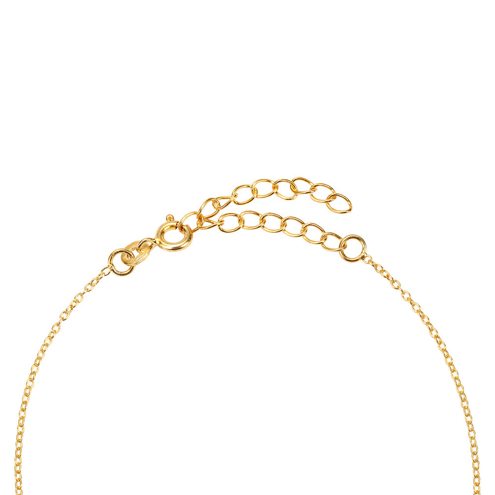 Pozlacené Stříbro 925/1000 - Náhrdelník s Brazilským Ametystem - Karátové číslo: 24.35. přibližná hmotnost: 6.71 gramů