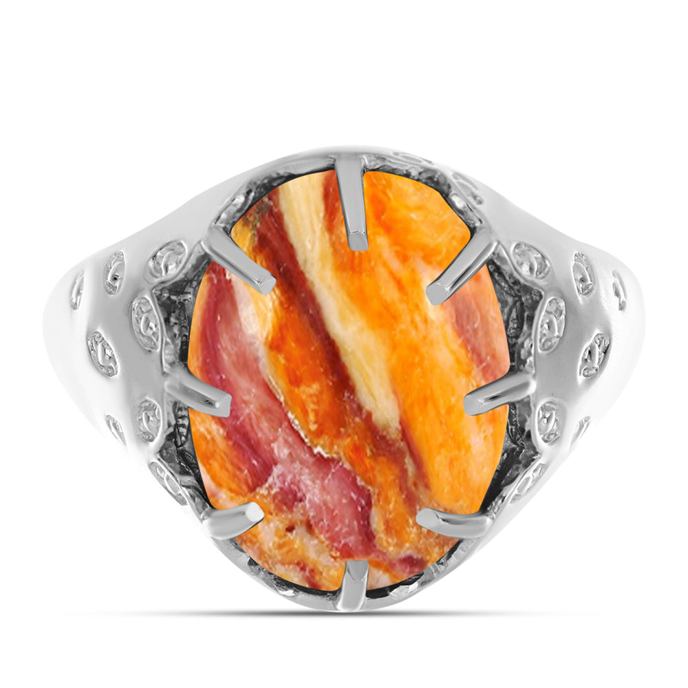 Stříbrný Prsten s jaspisem (Lví tlapa) 1 