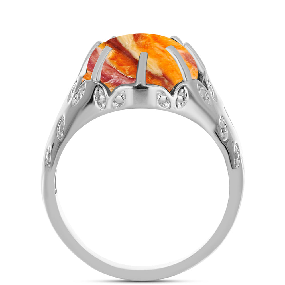 Stříbrný Prsten s jaspisem (Lví tlapa)