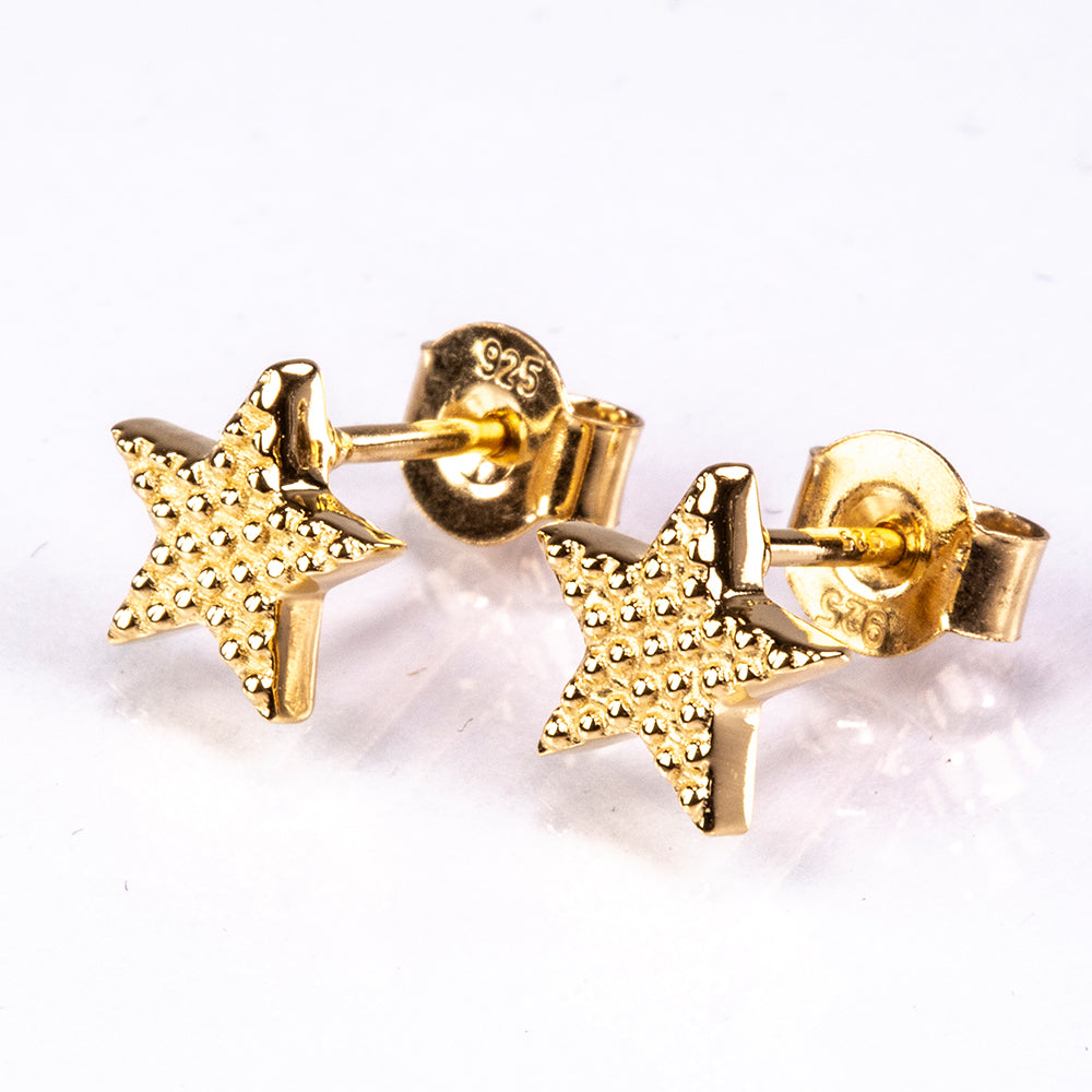 Pozlacené Stříbro 925/1000 - Náušnice  přibližná hmotnost: 1.6 gramů 1 