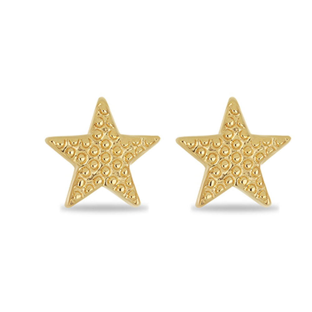 Pozlacené Stříbro 925/1000 - Náušnice  přibližná hmotnost: 1.6 gramů