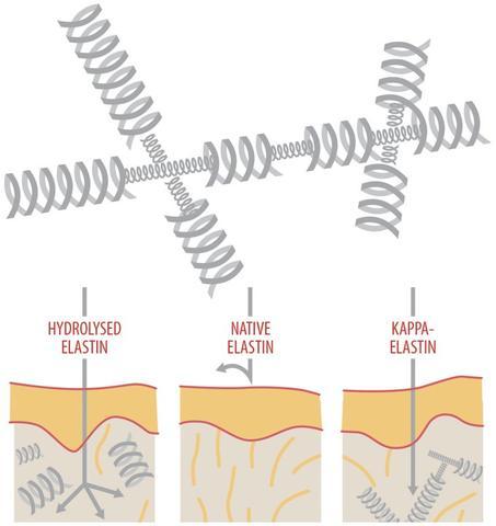 K'Derm suchý olej proti stárnutí 6 